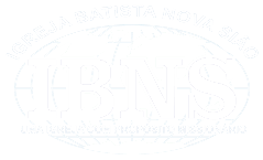 IBNS Logo